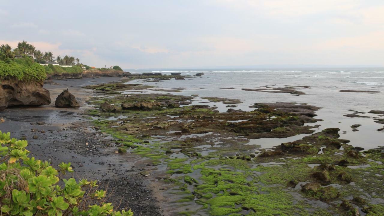 Villa Padi Canggu Exteriör bild